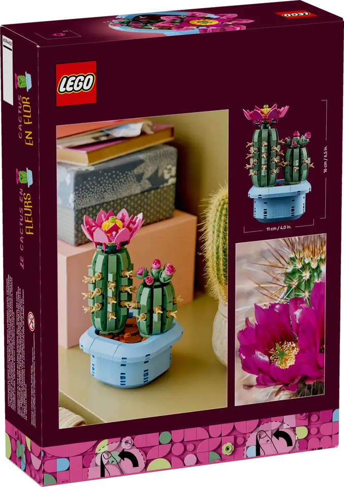 LEGO Botanicals 11509 Flowering Cactus product image 2, provided for visual reference and product detail review