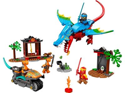 Ninja Dragon Temple product image 2, provided for visual reference and product detail review