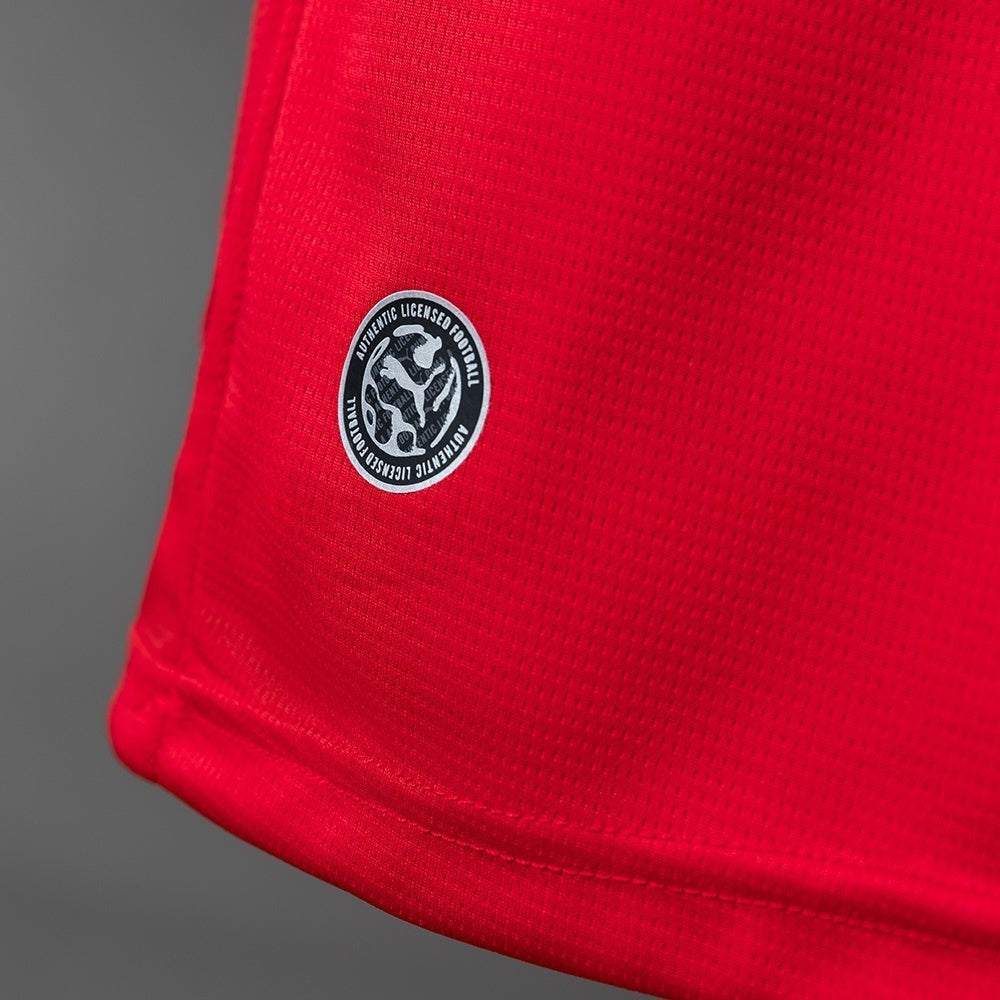Austria Home Jersey 2026 World Cup Football Kit Soccer Shirt product image 3
