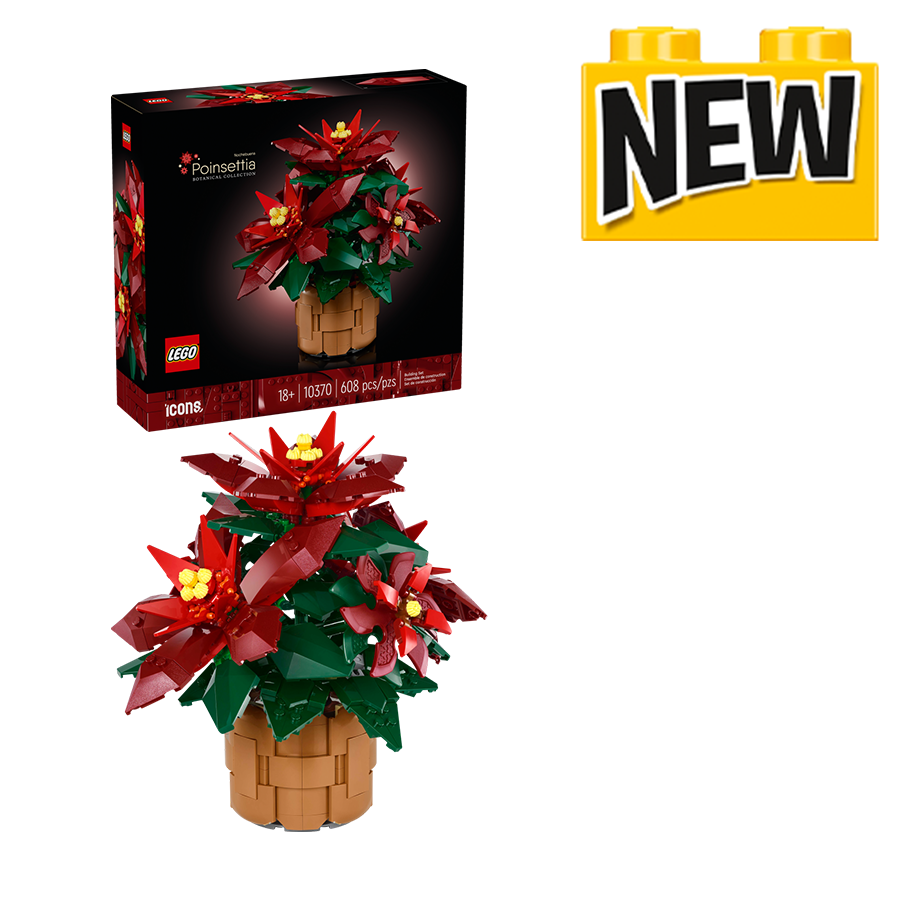 10370 Poinsettia Plant