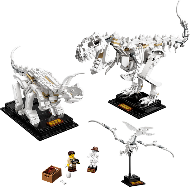 21320 Dinosaur Fossils product image 1, provided for visual reference and product detail review