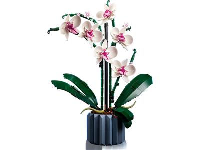 Botanical Orchid product image 2, provided for visual reference and product detail review
