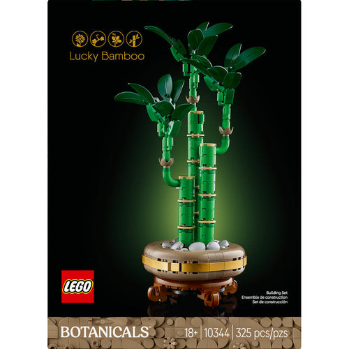 10344 Lucky Bamboo product image 2, provided for visual reference and product detail review
