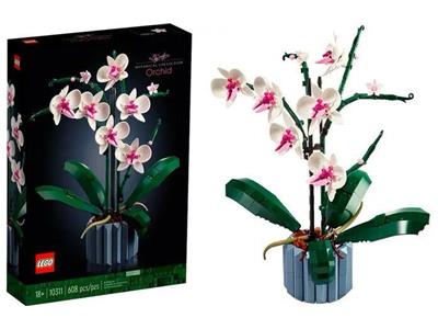 Botanical Orchid product image 3, provided for visual reference and product detail review