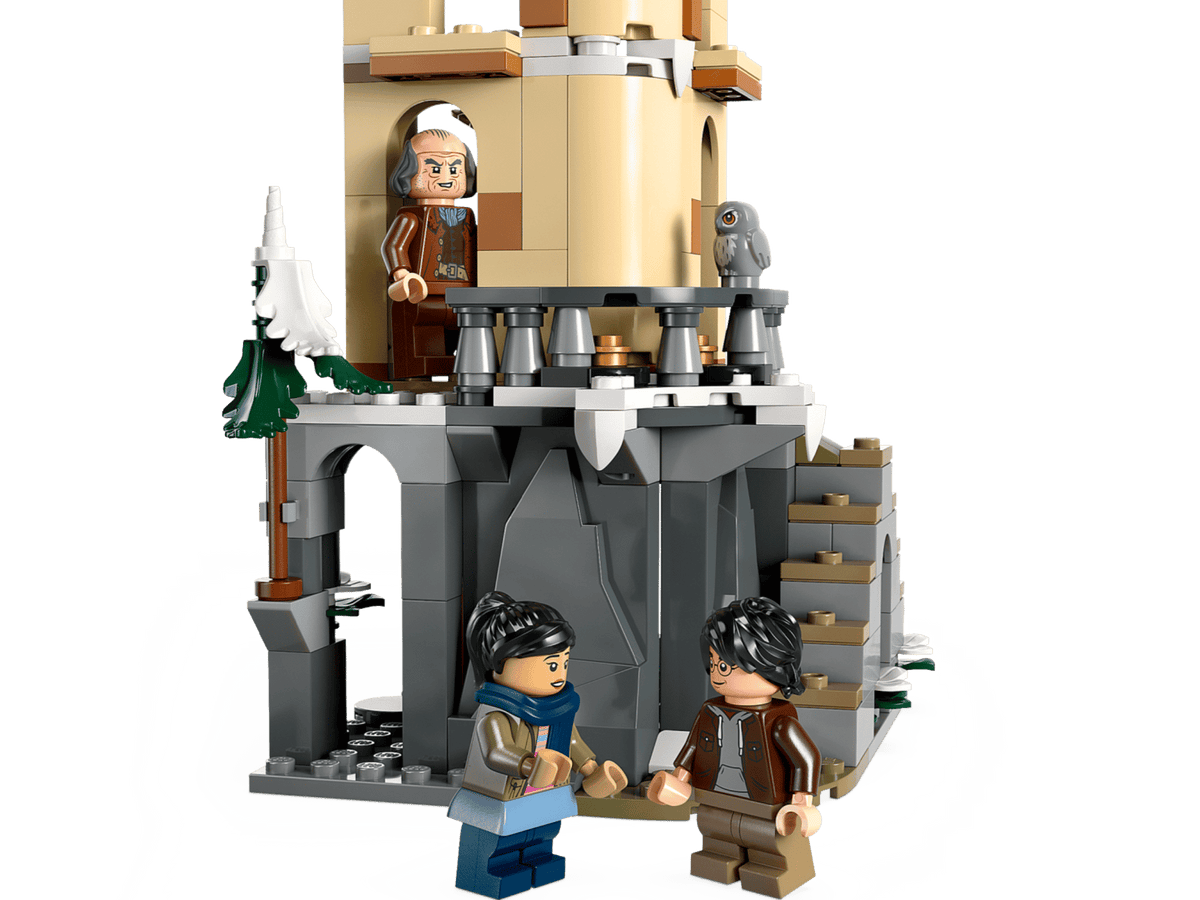 LEGO® Harry Potter™ #76430 Hogwarts™ Castle Owlery product image 6, provided for visual reference and product detail review