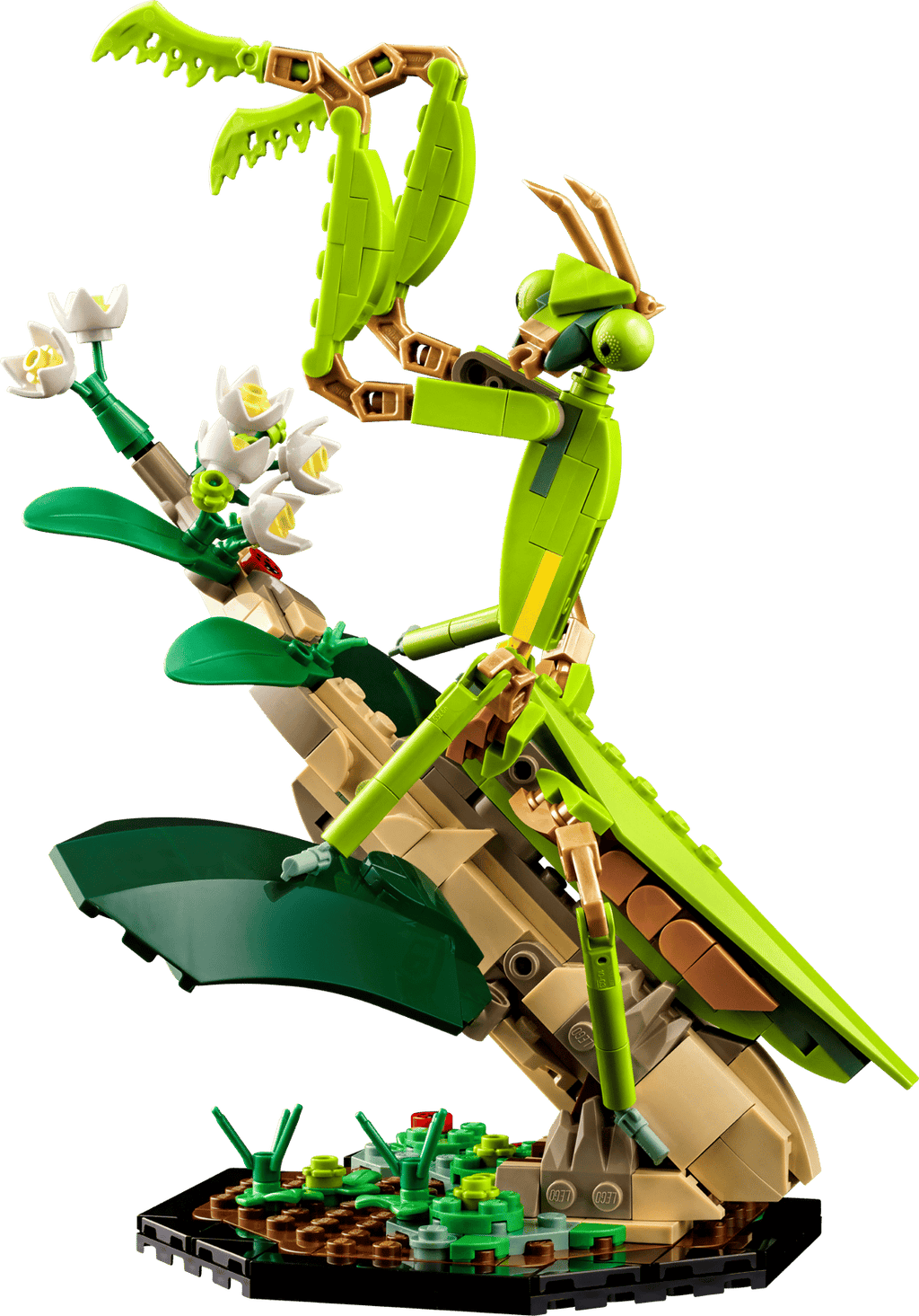 LEGO® Ideas #21342 The Insect Collection product image 3, provided for visual reference and product detail review