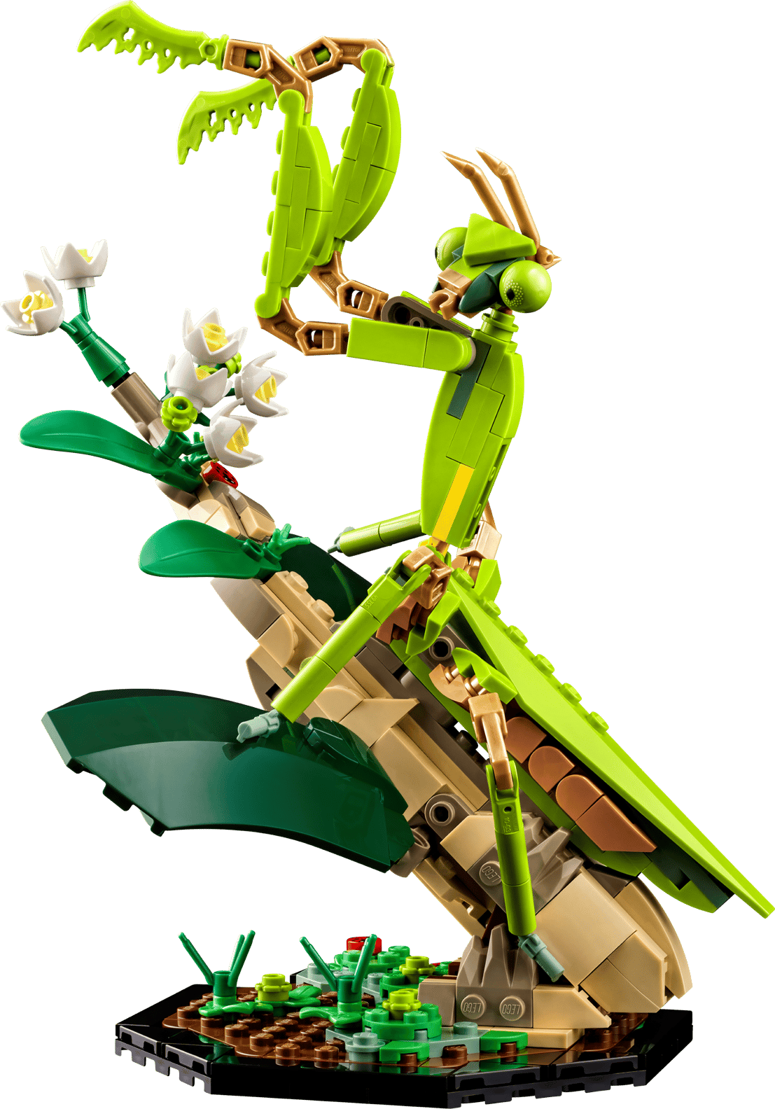 LEGO® Ideas #21342 The Insect Collection product image 3, provided for visual reference and product detail review