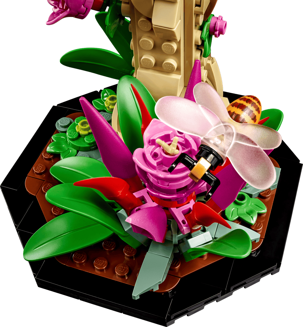 LEGO® Ideas #21342 The Insect Collection product image 5, provided for visual reference and product detail review