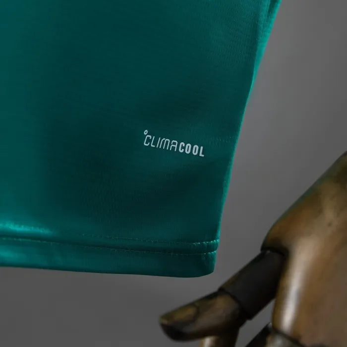 Northern Ireland Home Jersey 2026 World Cup Football Kit product image 5
