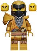 Cole - 10th Anniversary Golden Ninja (njo0651) product image 1, provided for visual reference and product detail review