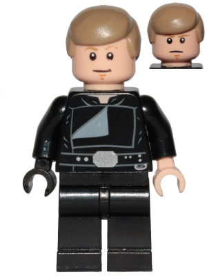 Luke Skywalker (Jedi Master, Endor, Dark Tan Hair, Stern / Smile) (sw0880) product image 1, provided for visual reference