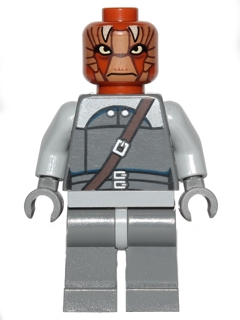 Nikto Guard (sw0496) product image 1, provided for visual reference and product detail review