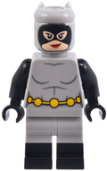 Catwoman - Light Bluish Gray Suit (sh0961) product image 1, provided for visual reference and product detail review