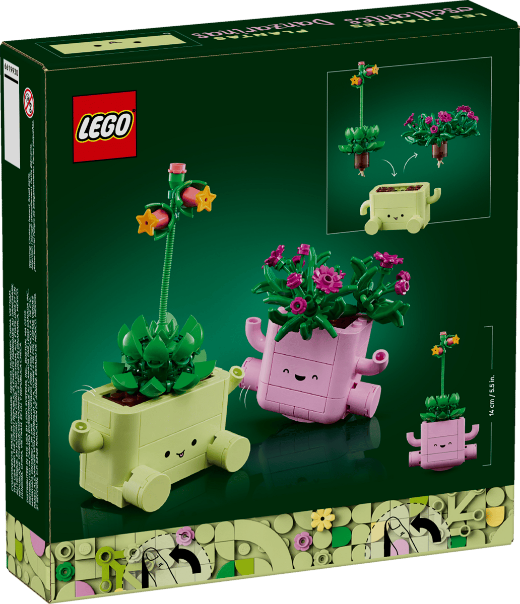 LEGO Botanicals 11506 Rocking Plants product image 2, provided for visual reference and product detail review