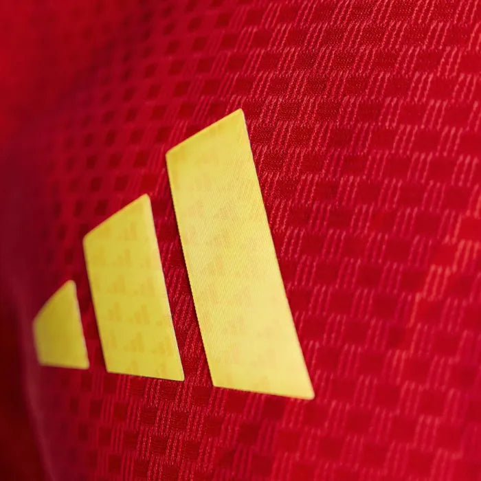 Belgium Jersey 2026 World Cup Football Kit Player Version product image 3