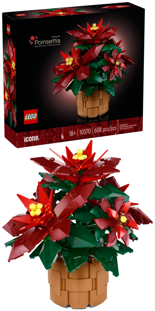 10370 Poinsettia Plant product image 2, provided for visual reference and product detail review