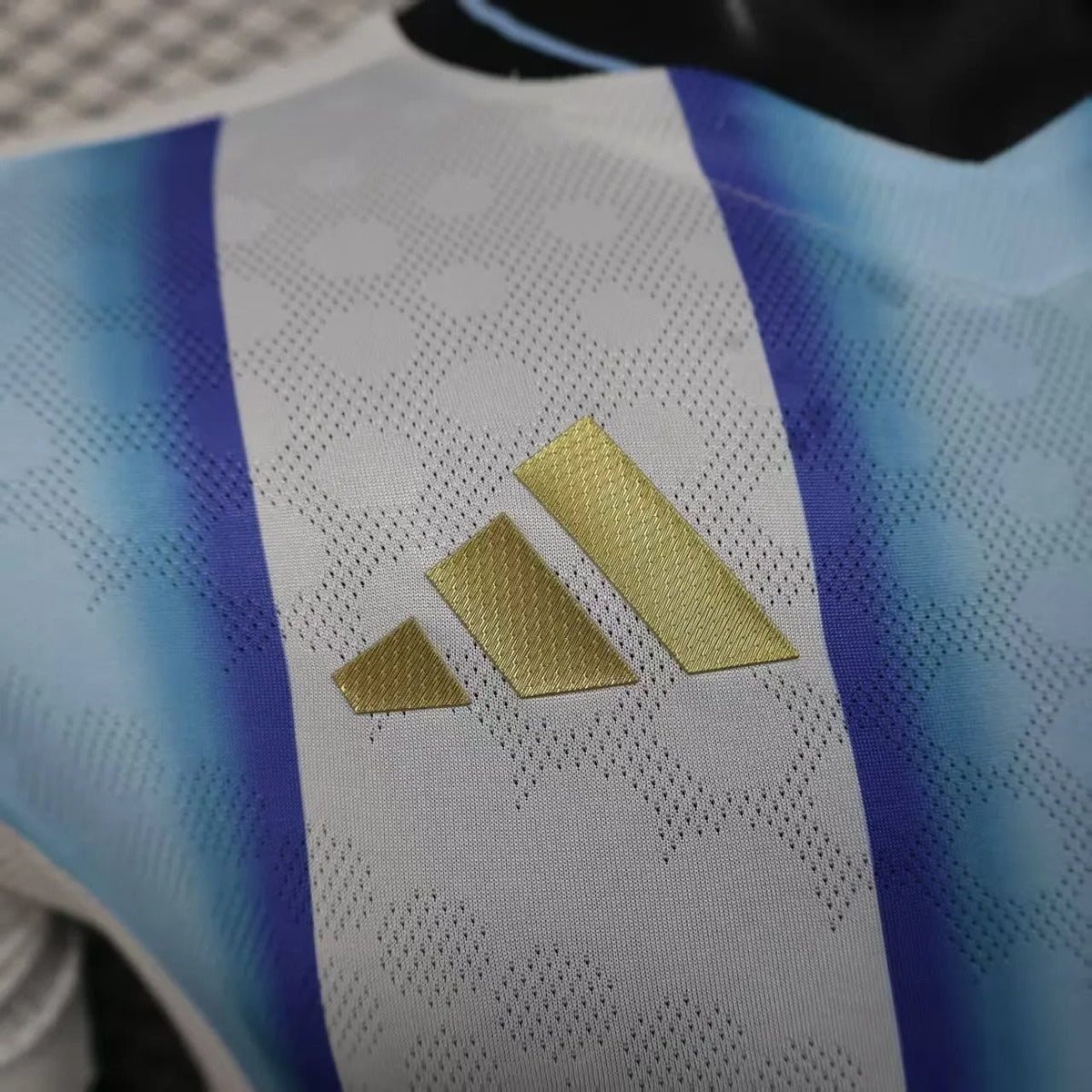 Player Version Argentina Jersey 2026 World Cup Football Kit product image 4